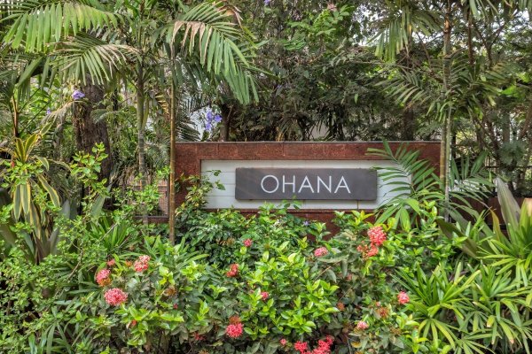 Image Title Goes Here